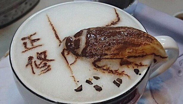 А у нас на Тайване в кофе тараканы: жутко реалистичный латте-арт