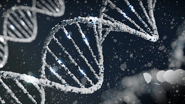 О редактировании генома человека