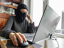 Число киберпреступлений в России за 11 месяцев выросло более чем на 30%