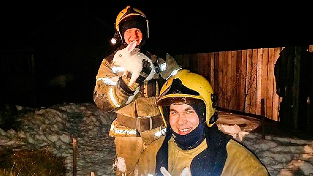 Пожарные спасли восемь кроликов из огня в Омской области