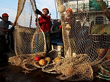 В Заполярье предложили разрешить индивидуальный морской промысел