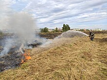 В Твери в спальном микрорайоне загорелось поле