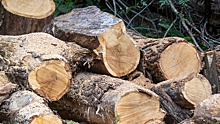 Не все гладко даже с дровами: как в ЕС ощущают последствия энергокризиса