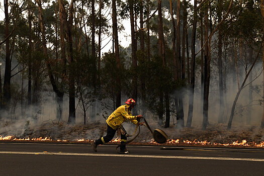 Лесные пожары в Австралии оказались выгодны российским угледобытчикам