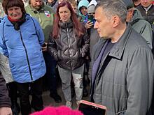 Хинштейн выступил против вырубки березовой рощи в Курском районе