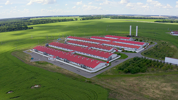 Стало известно об «откате» судебного дела между крупными российским агрокомпаниями
