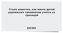 Стало известно, как много детей украинских чиновников учится за границей