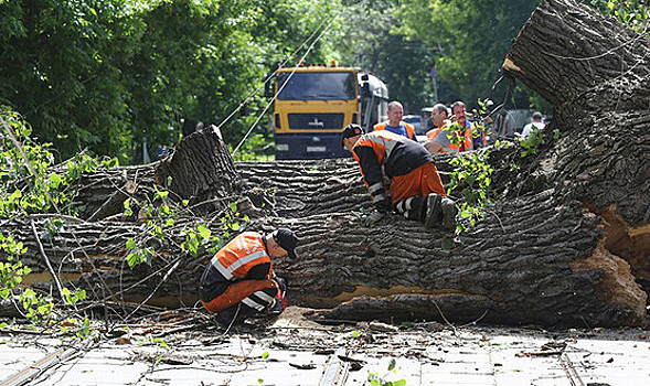 На Россию напал шторм