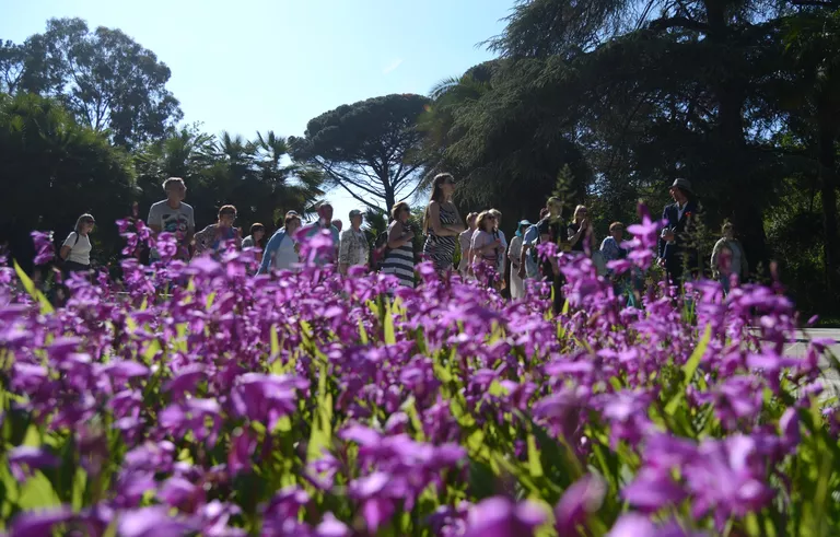 Как россияне будут отдыхать в мае