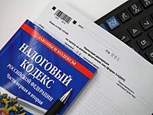 РАН: введение базового дохода в РФ увеличит налоговую нагрузку на работодателей