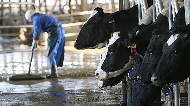 Россияне пожаловались на резкое повышение цен на молоко