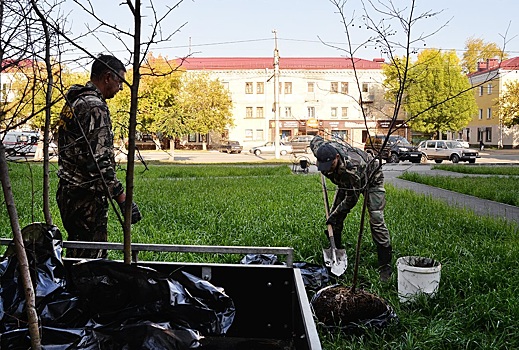 В сквере на Коли Мяготина высадили деревья и скоро вернут отремонтированную надпись «Я люблю Курган»