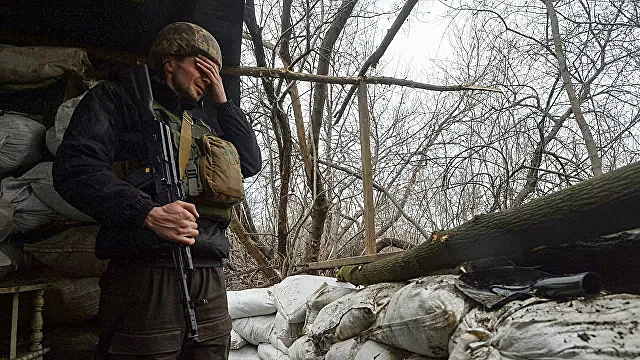 Оставшиеся без еды бойцы ВСУ начали воровать скот у жителей Донбасса