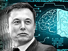 Neuralink Илона Маска приблизилась к созданию нейрокомпьютера