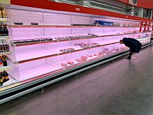 В двух колониях и двух изоляторах в Свердловской области ввели карантин по АЧС