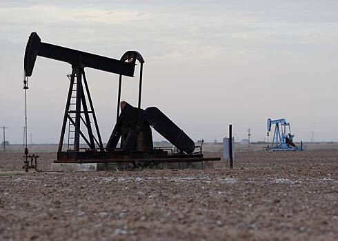 Аналитик оценил возможность отказа Индии от российской нефти