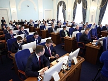 От 0 до 178 миллионов - сколько заработали в пандемийный год депутаты омского Заксобрания