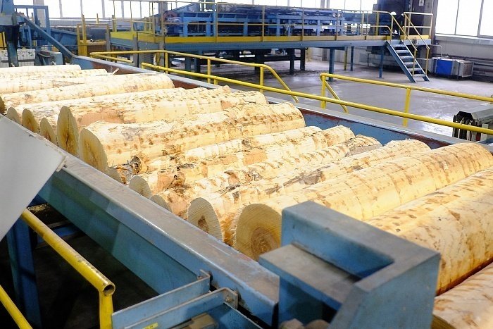 С начала 2023 года в Кировскую область пытались ввезти 233 кубометров лесопродукции без карантинных сертификатов
