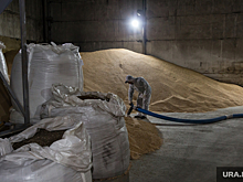 В Свердловской области выставили на торги комбикормовый завод