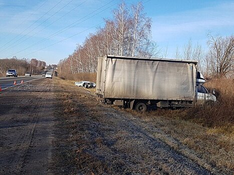 Водитель «Волги» погиб после лобового столкновения с грузовиком под Нижним Новгородом