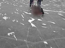 В Курской области обнаружили вмерзшего в лёд мужчину