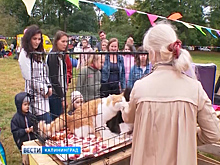 Под Калининградом собака загрызла дочку хозяев