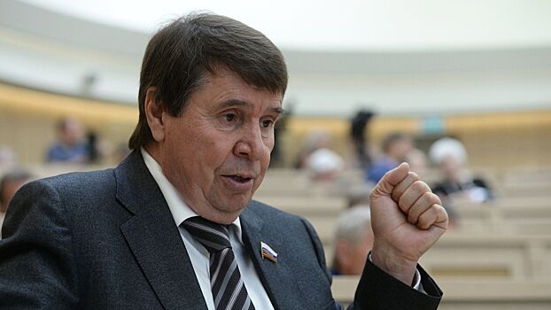 «Отсидит весь срок»: сенатор Цеков об отказе ЕСПЧ помогать Саакашвили