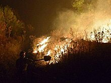 «Дюна» по-украински. Как на Украине бушует пламенная декоммунизация