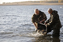 На Южном Урале в Шершневское водохранилище выпущено более 3000 сазанов
