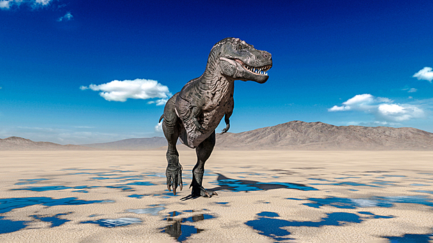 Найдено место, где 100 млн назад динозавры-самцы привлекали самок «лунной походкой»