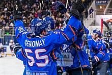 Министр Шляхтин: нового главного тренера для хоккейной «Лады» выберут до 1 мая