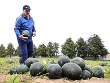 Лукашенко оценил итоги тяжелого сельскохозяйственного года