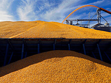 СМИ сообщили об отсутствии изменений в переговорах по зерновой сделке