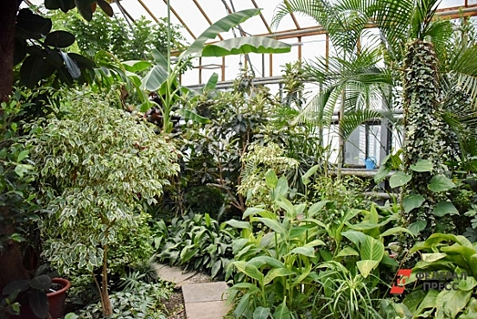 Замерзающая коллекция, письмо Махонину и вмешательство чиновников: что происходит с Ботсадом Пермского университета