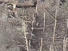 Минобороны показало на видео подвиг российского сержанта