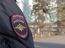 Мать похищенной в Москве девочки захотели лишить родительских прав
