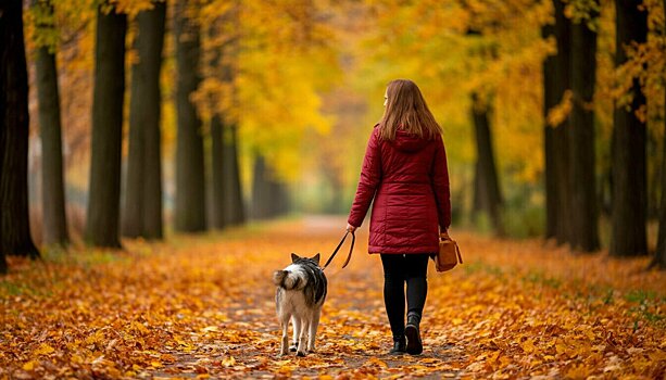 С 1 по 31 октября в Кирове пройдет плановая выездная вакцинация собак и кошек против бешенства