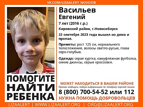 В Кировском районе Новосибирска пропал 7-летний мальчик, опубликовано фото