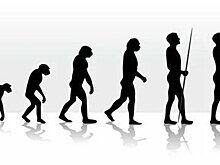 Как люди изменятся в ближайшие 10 000 лет?