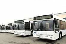200 низкопольных автобусов с кондиционерами закупят для Ростова к ЧМ-2018