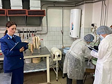 СК Карелии возбудил дело по факту выявления у школьников кишечной инфекции
