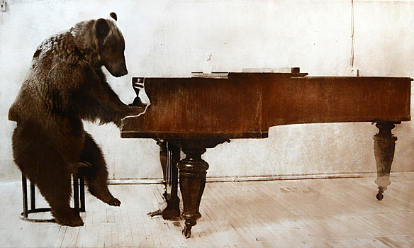 В Центре AZ/ART проводят второе подряд исследование на тему визуализации звука