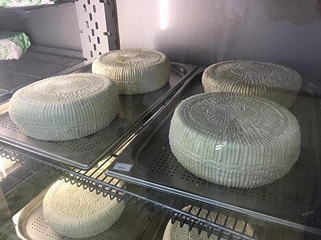 Сыр с плесенью из Подмосковья может попасть прямиком в блюда ресторанов Аркадия Новикова