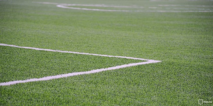 На стадионе «Динамо» обновили газон 