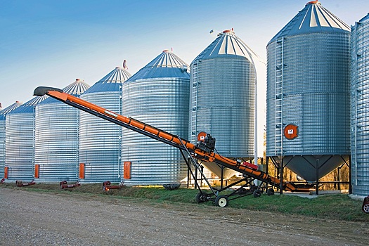 28 декабря в госфонд закупили 36,72 тысячи тонн зерна