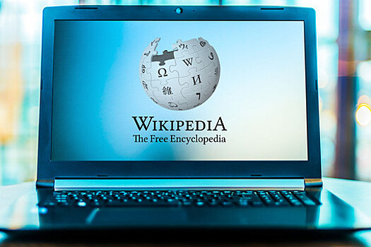 Общественник Малькевич: поисковики не должны выдавать в запросах "Википедию"