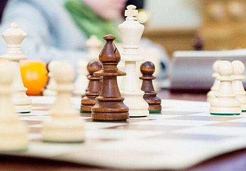 На Лермонтовском проспекте научат игре в шахматы