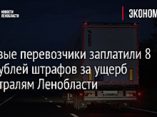 Грузовые перевозчики заплатили 8 млн рублей штрафов за ущерб магистралям Ленобласти