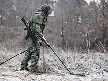 Российский сапер обезвредил более 80 мин ВСУ в огороде мирной жительницы