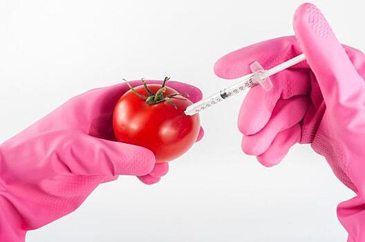 Продукты с ГМО можно распознать по маркировке